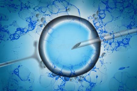 供卵辅助生殖_供卵辅助生殖：科学技术助力实现生育梦想”