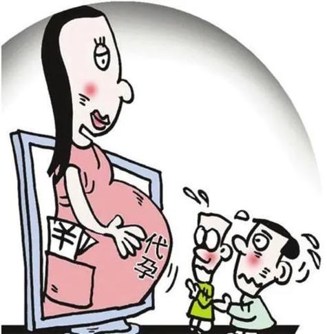 借腹借卵生子孩子的妈妈【借腹借卵生子的妈妈:我的生育之路】