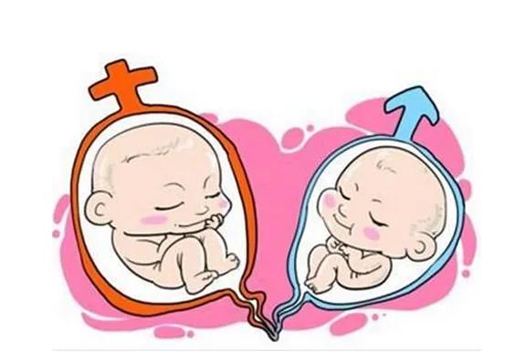 借卵生子有孕妈的遗传基因_遗传基因：借卵生子有孕妈”