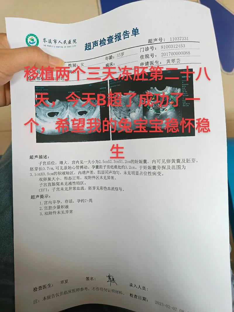 借卵试管代怀包成功(借卵试管代怀包成功的生育奇迹)