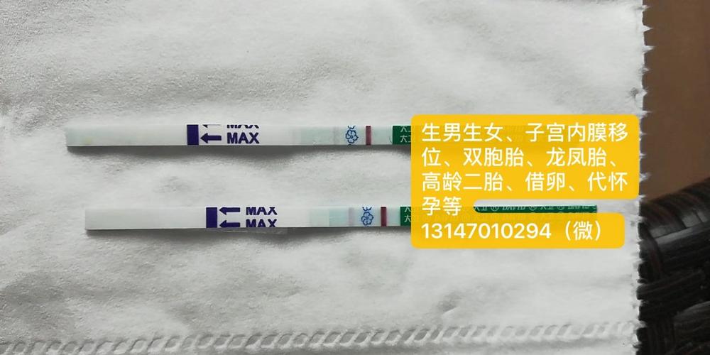 借卵试管代怀选性别包成功_成功实现借卵试管代怀选性别包成功
