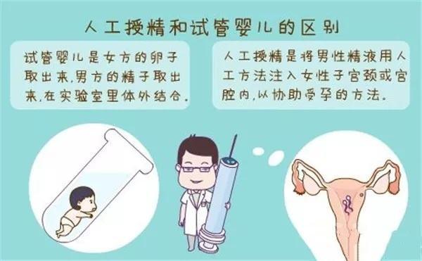借卵试管代怀注意事项(借卵试管代怀注意事项大揭秘)