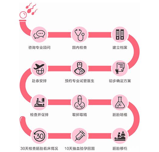 借卵试管代怀明细-借卵试管代怀明细解析及注意事项