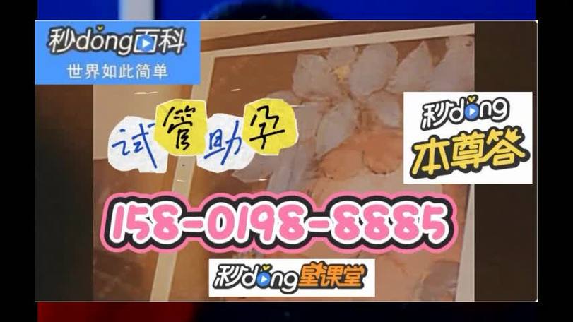 借卵试管代怀套餐-借卵试管代怀套餐：助您圆梦生育