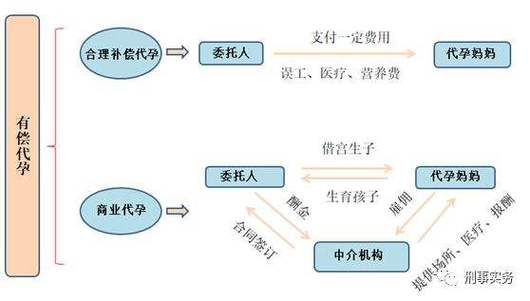 借卵试管代怀费用表_借卵试管代怀费用表详解