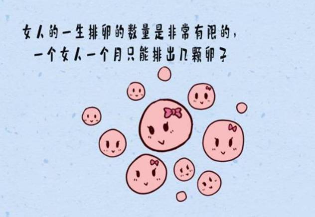 借卵生子到哪里做【借卵生子:选择何处才是最佳之地】