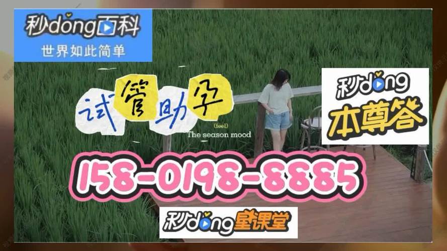 借卵试管代怀双胞胎电话(借卵试管代怀双胞胎电话咨询指南)