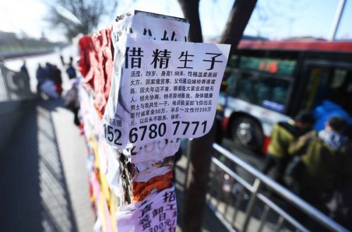 借精生子流程_借精生子流程:一种新的生育选择方式
