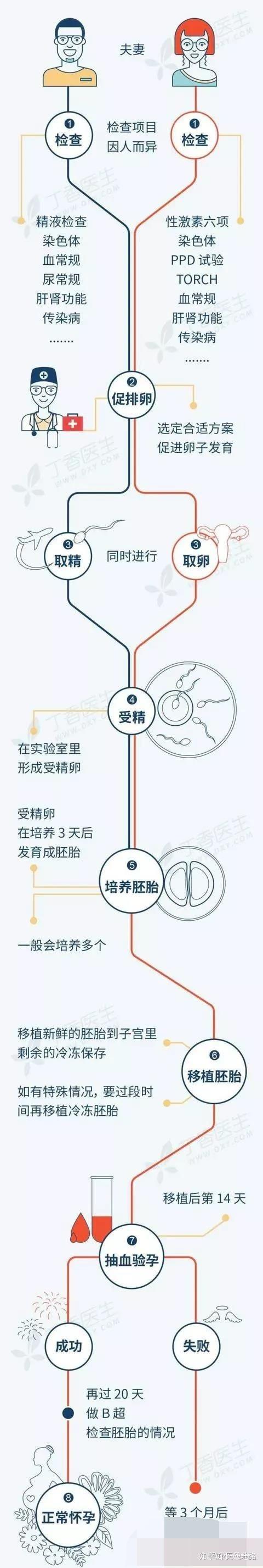 借卵代生子(借卵代生子:生育之路的选择与挑战)