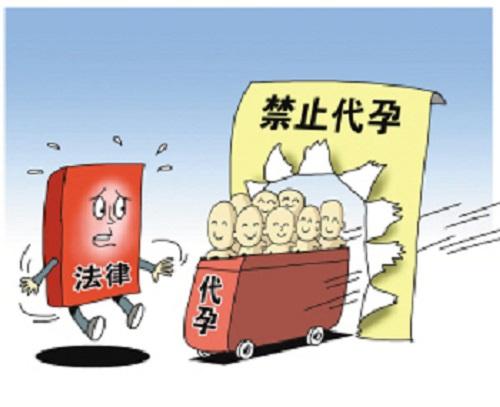 借卵是自己的孩子吗_借卵生育的孩子,是否算是自己的孩子?