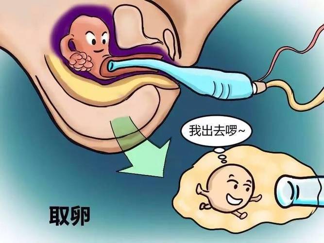 借卵试管代怀包双胞胎_借卵试管代怀:一次怀上双胞胎